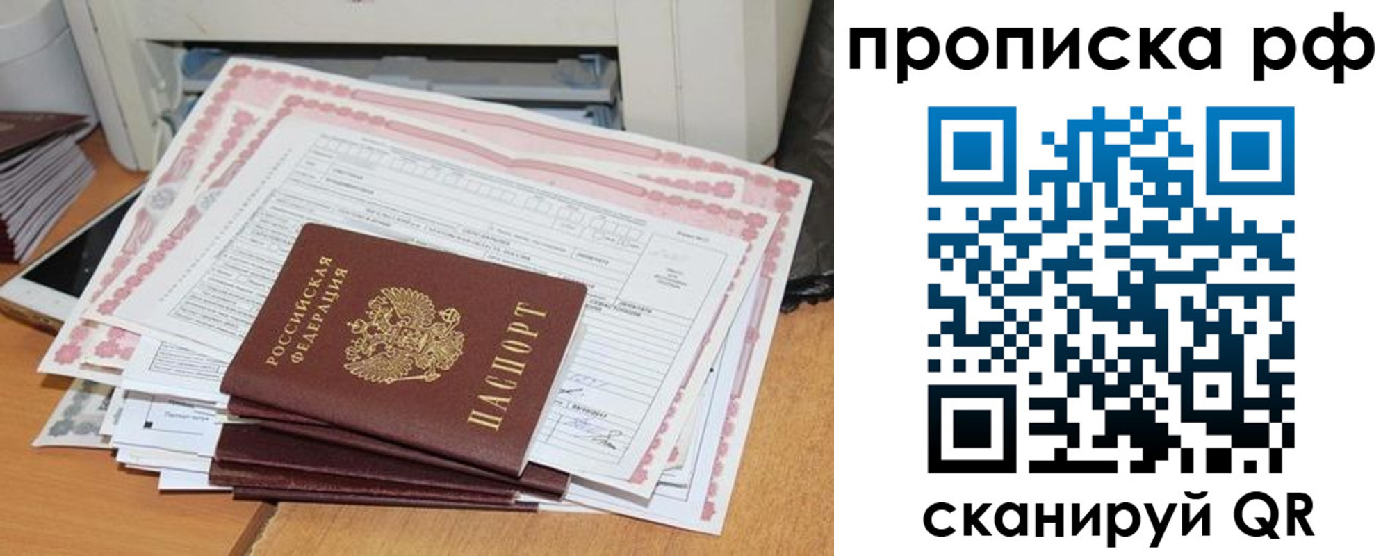 прописка гарантия в Ртищево